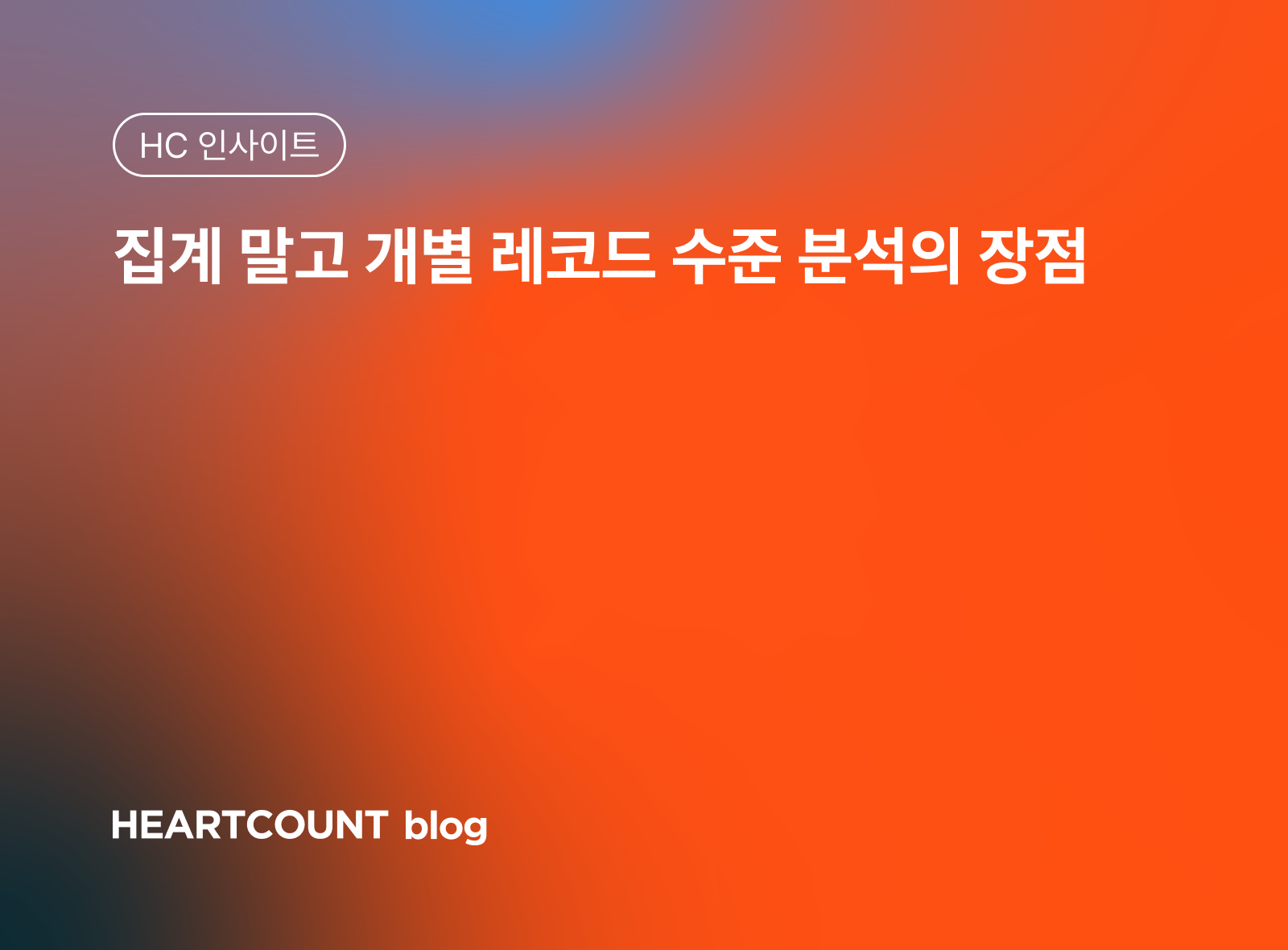 집계 말고 개별 레코드 수준 분석의 장점