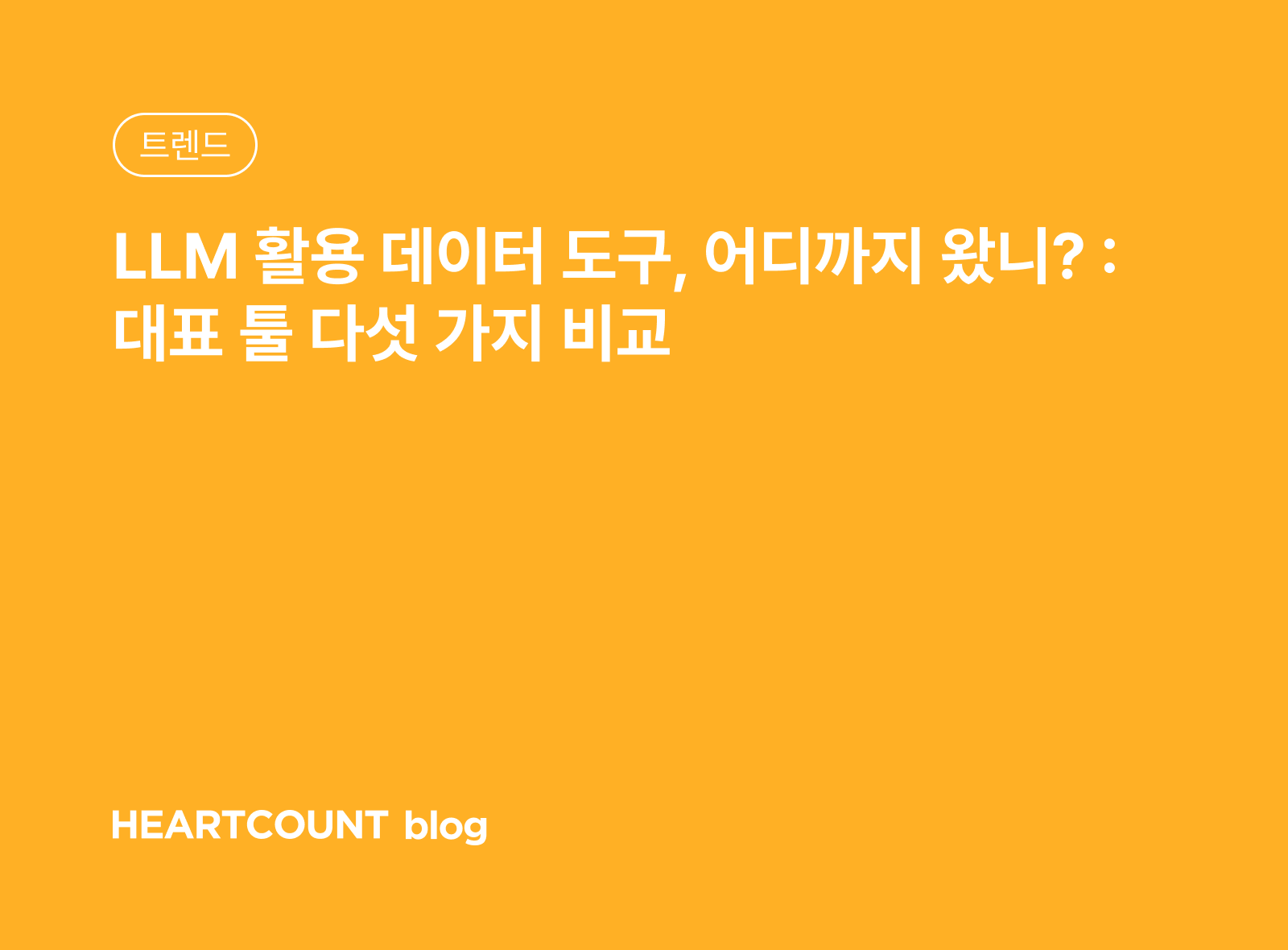 LLM 활용 데이터 도구, 어디까지 왔니? : 대표 툴 다섯 가지 비교