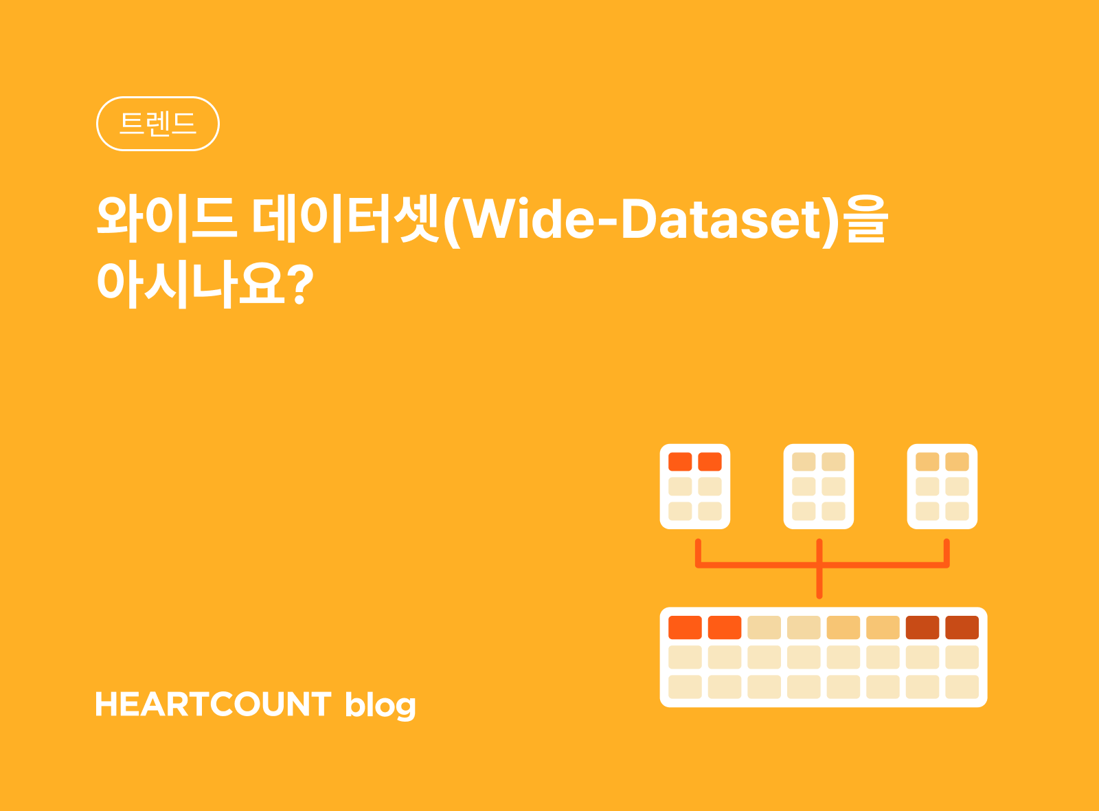 와이드 데이터셋(Wide-Dataset)을 아시나요?